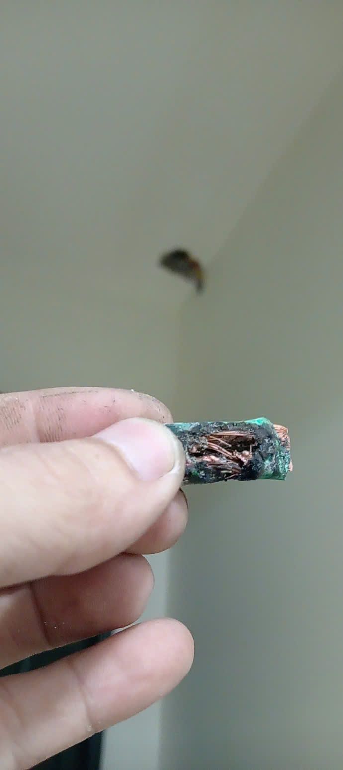 Đầu dây điện màu xanh có lớp cách điện cháy xém tại công trình Long Biên