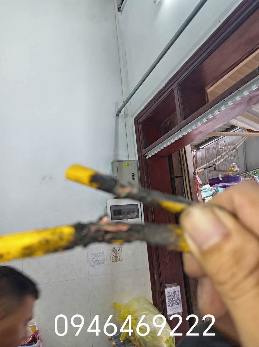 Cặp dây vàng cháy xém được kiểm tra tại Gia Lâm ảnh 2