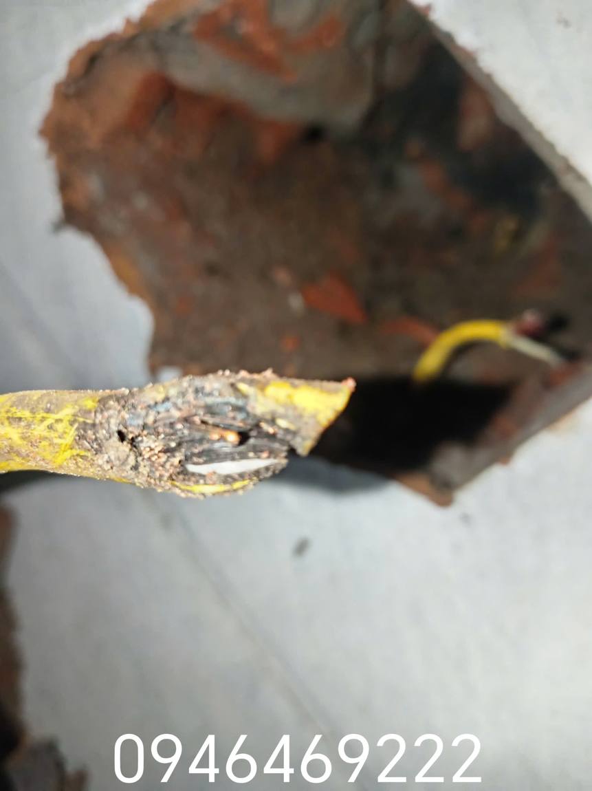 Đầu dây vàng cháy xém và lộ lõi đồng tại Gia Lâm ảnh 1