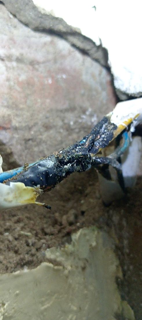 Dây điện bị cháy xém sau khi mở kiểm tra