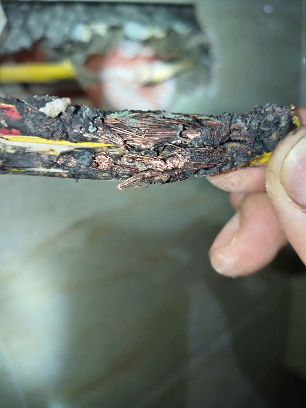 Đoạn dây điện cháy hỏng với nhiều sợi đồng lộ ra
