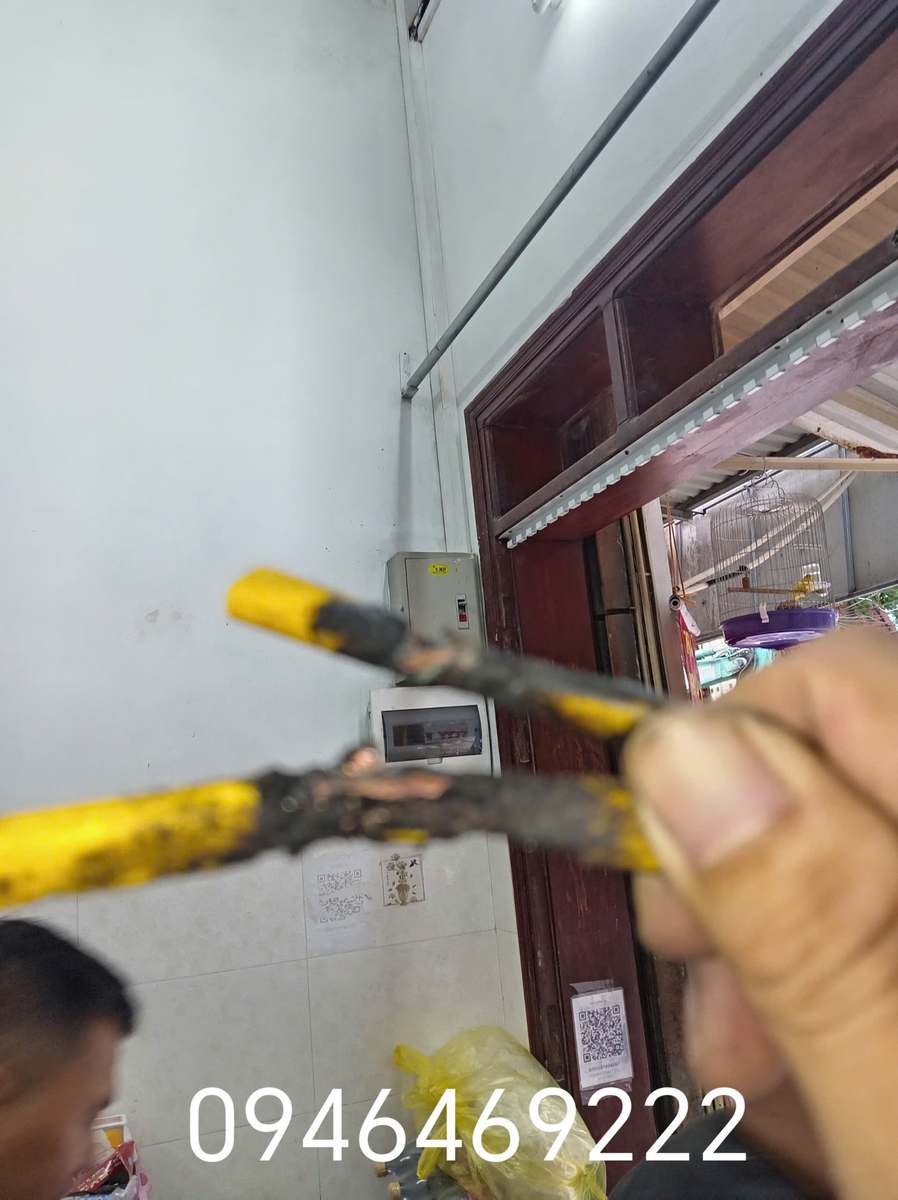 Đoạn dây điện màu vàng cháy xém, hư lớp cách điện và lộ sợi đồng