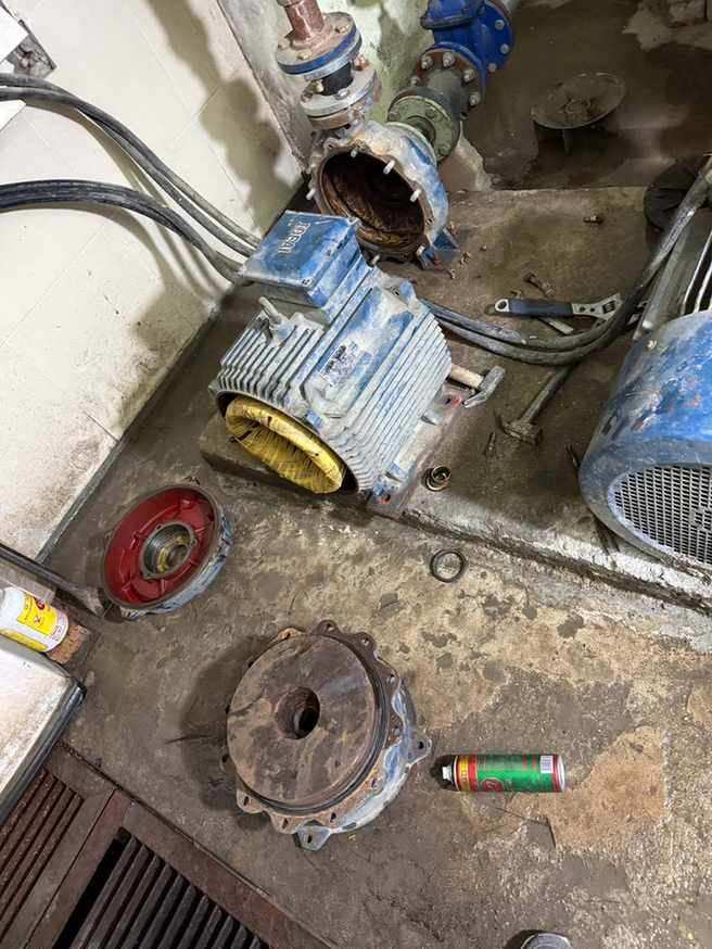 Tháo cụm máy bơm để kiểm tra buồng bơm và motor sau khi đã cô lập nguồn