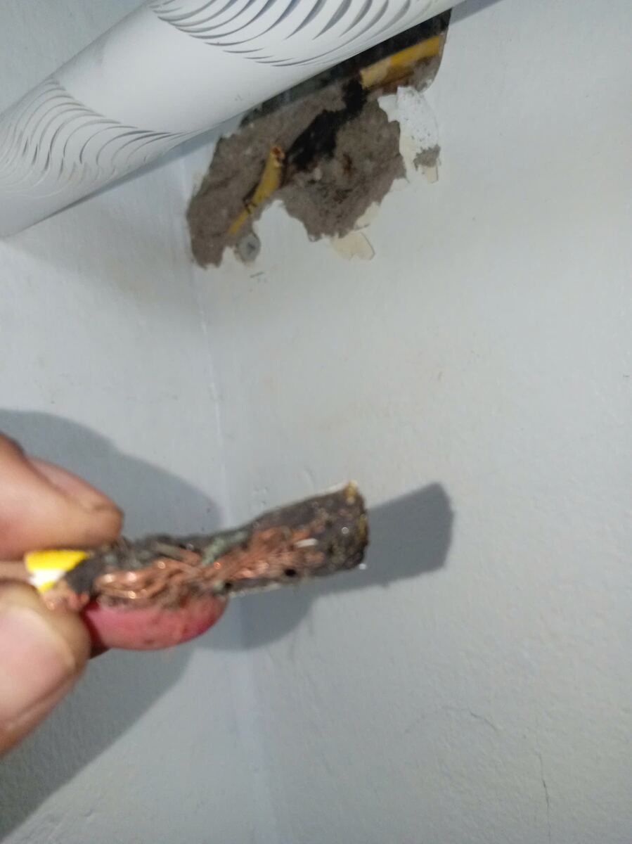Mở kiểm tra dây điện sau ổ cắm