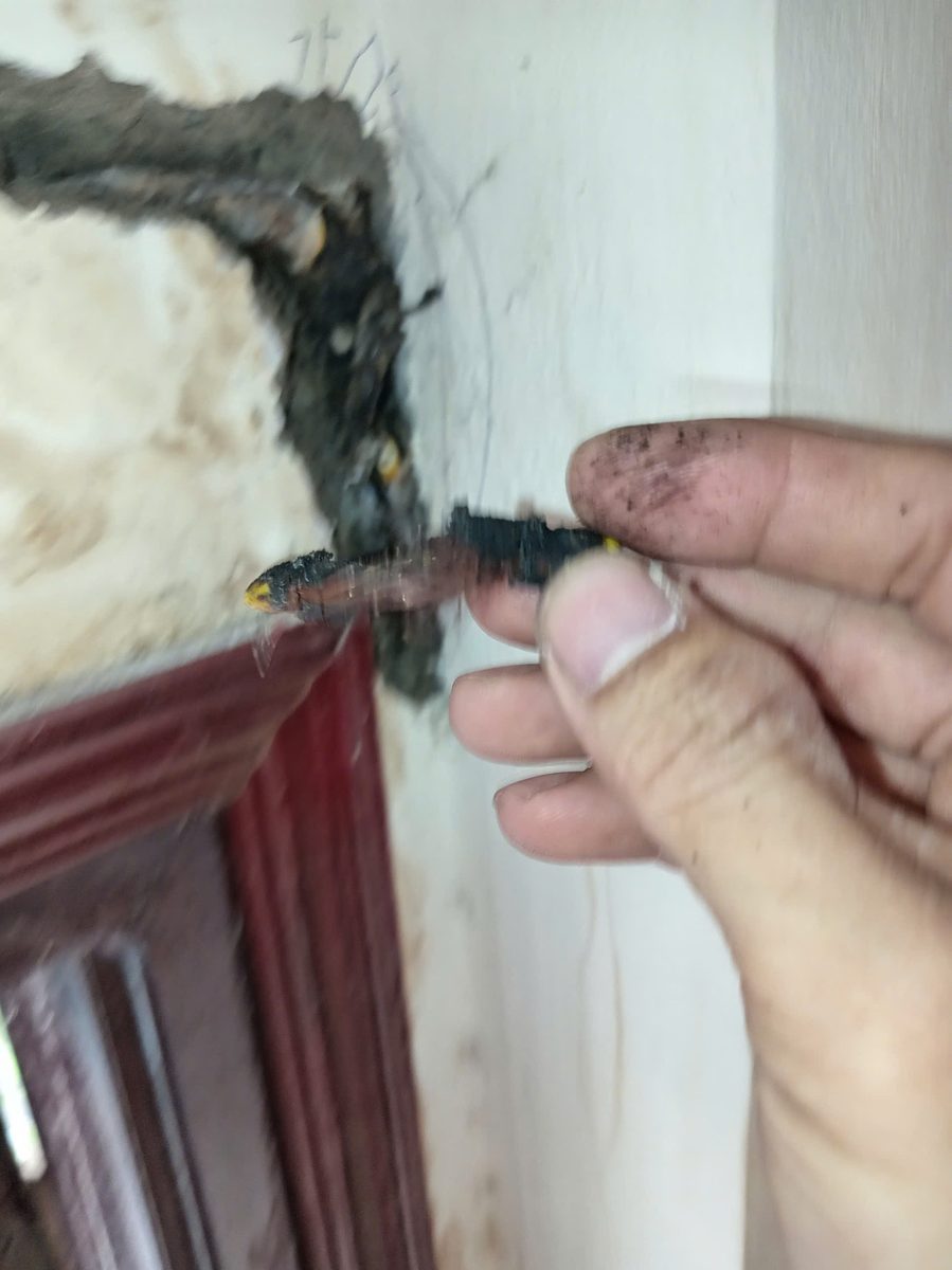 Đoạn dây hư nhìn từ góc khác, cạnh mép cửa và rãnh tường.